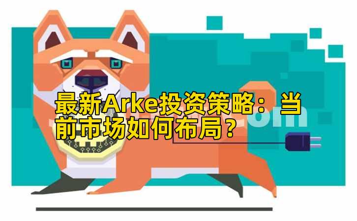 最新Arke投资策略:当前市场如何布局?