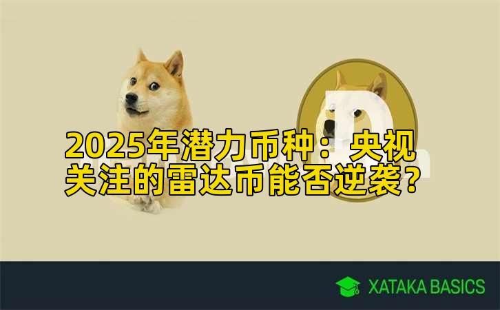 2025年潜力币种：央视关注的雷达币能否逆袭？