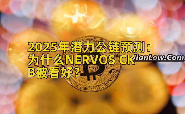 2025年潜力公链预测：为什么NERVOS CKB被看好？