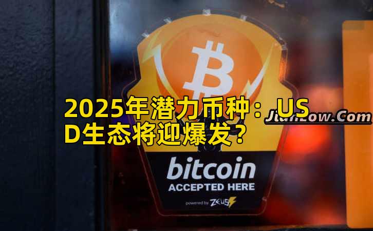 2025年潜力币种：USD生态将迎爆发？