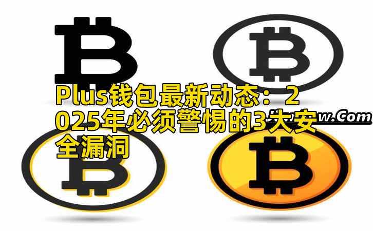 Plus钱包最新动态：2025年必须警惕的3大安全漏洞