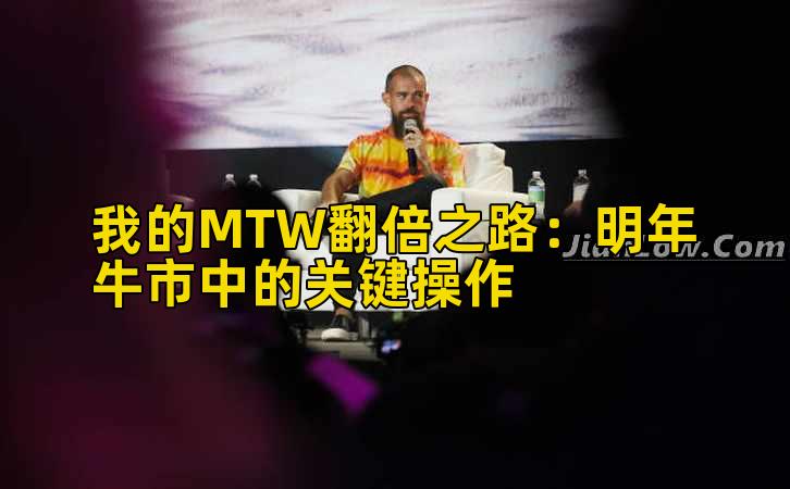 我的MTW收益增长之路:明年牛市中的关键操作