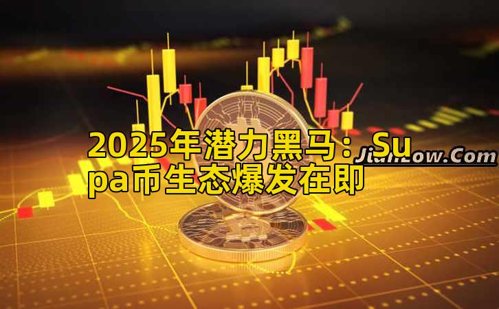 2025年潜力黑马：Supa币生态爆发在即