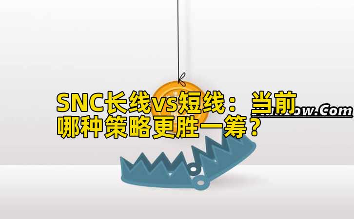 SNC长线vs短线：当前哪种策略更胜一筹？