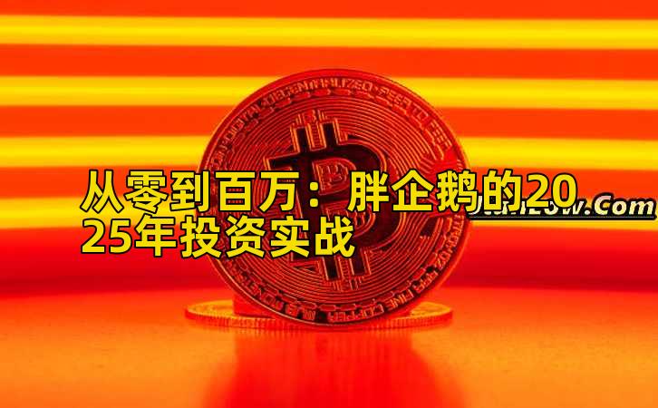 从零到百万：胖企鹅的2025年投资实战