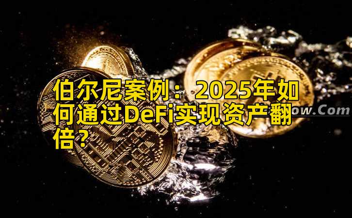 伯尔尼案例：2025年如何通过DeFi实现资产翻倍？