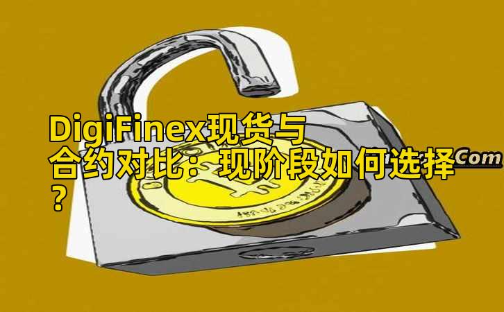 DigiFinex现货与合约对比:现阶段如何选择?