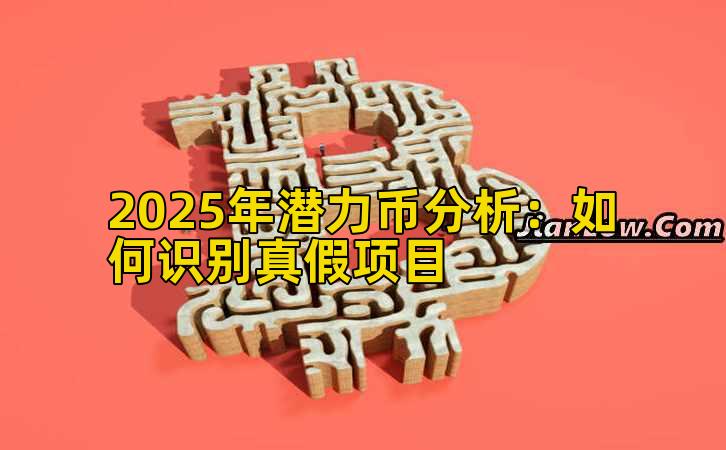 2025年潜力币分析：如何识别真假项目