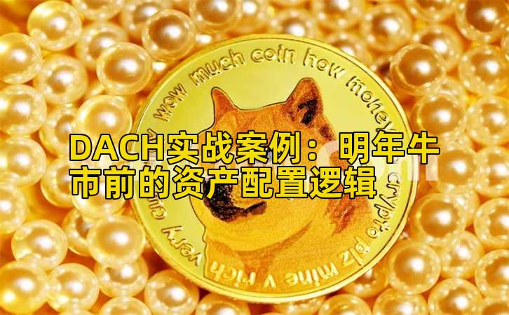 DACH实战案例：明年牛市前的资产配置逻辑