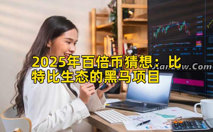 2025年百倍币猜想:比特比生态的黑马项目