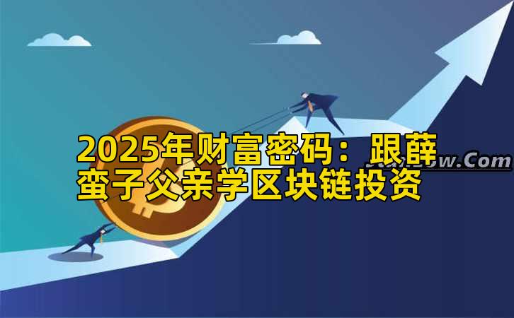 2025年财富密码：跟薛蛮子父亲学区块链投资