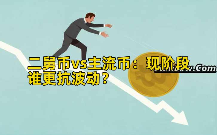 二舅币vs主流币：现阶段谁更抗波动？