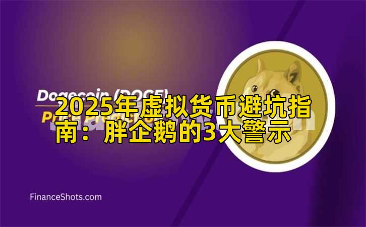 2025年虚拟货币避坑指南：胖企鹅的3大警示