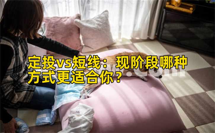 定投vs短线:现阶段哪种方式更适合你?