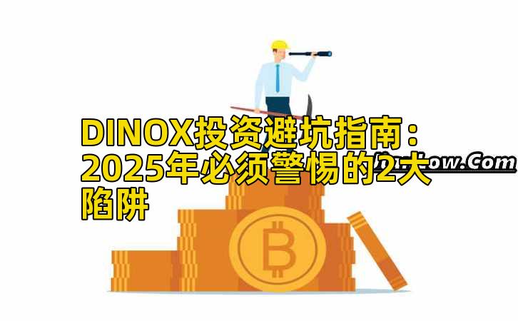 DINOX投资避坑指南：2025年必须警惕的2大陷阱