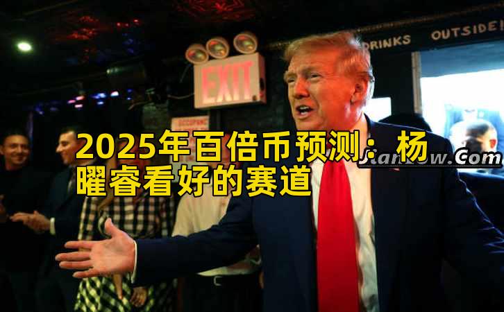 2025年百倍币预测：杨曜睿看好的赛道