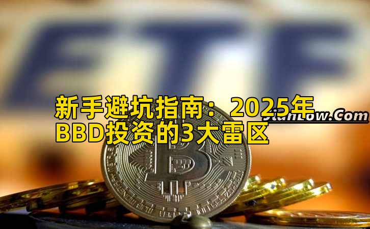 新手避坑指南：2025年BBD投资的3大雷区