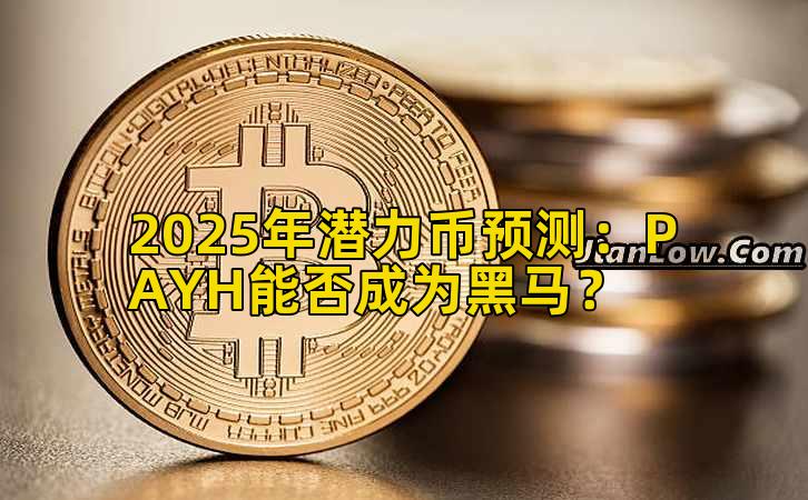 2025年潜力币预测：PAYH能否成为黑马？
