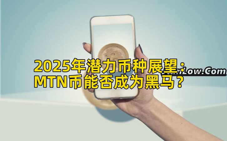 2025年潜力币种展望：MTN币能否成为黑马？