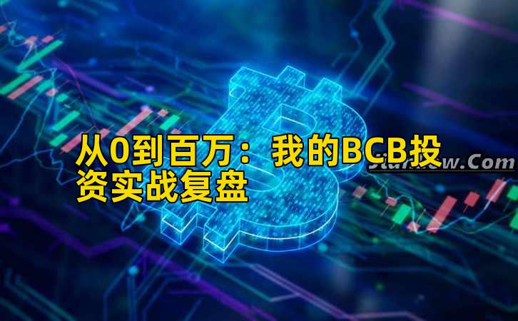 从0到百万：我的BCB投资实战复盘