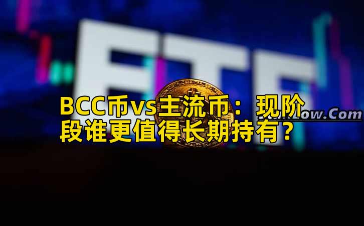 BCC币vs主流币：现阶段谁更值得长期持有？