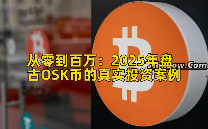 从零到百万：2025年盘古OSK币的真实投资案例