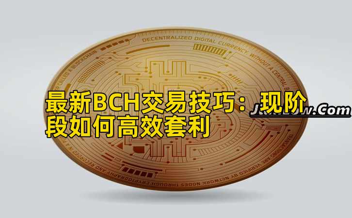 最新BCH交易技巧:现阶段如何高效套利