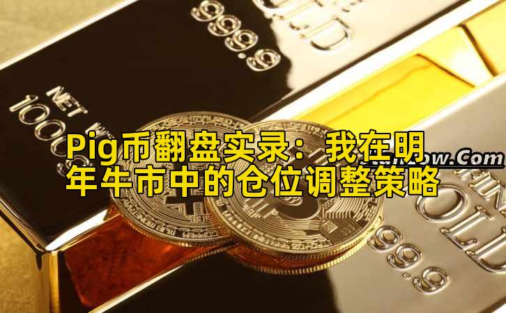 Pig币翻盘实录:我在明年牛市中的仓位调整策略