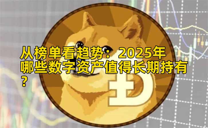 从榜单看趋势：2025年哪些数字资产值得长期持有？