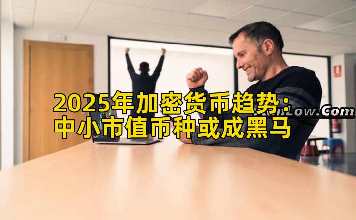 2025年加密货币趋势：中小市值币种或成黑马
