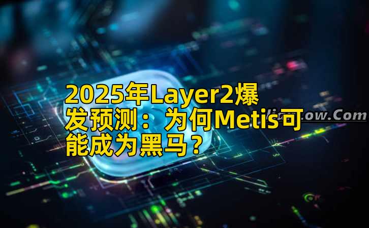 2025年Layer2爆发预测：为何Metis可能成为黑马？