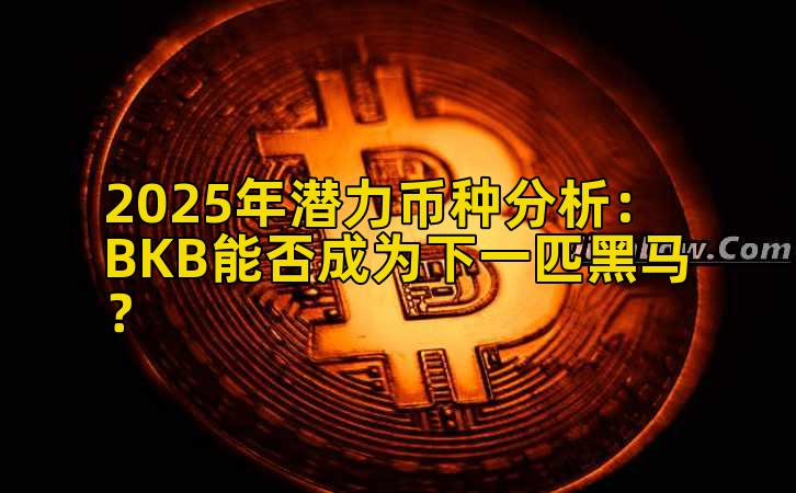 2025年潜力币种分析：BKB能否成为下一匹黑马？