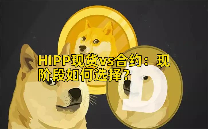 HIPP现货vs合约：现阶段如何选择？