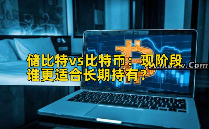 储比特vs比特币：现阶段谁更适合长期持有？