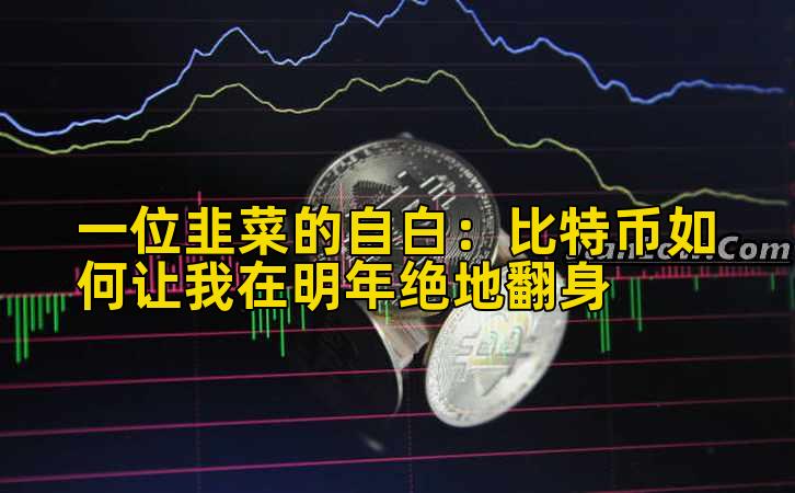 一位韭菜的自白:比特币如何让我在明年绝地翻身
