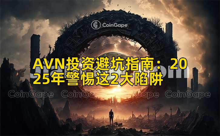AVN投资避坑指南:2025年警惕这2大陷阱