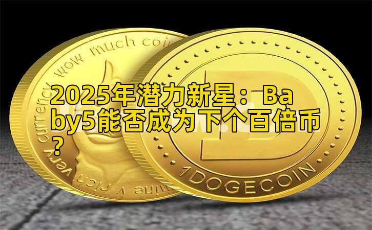 2025年潜力新星：Baby5能否成为下个百倍币？