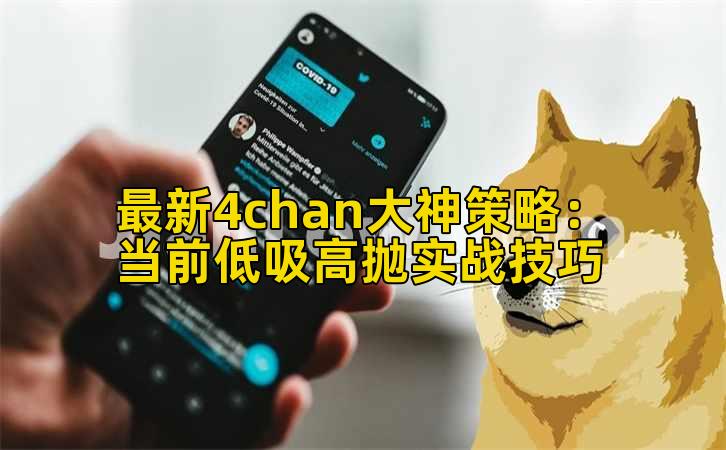 最新4chan大神策略:当前低吸高抛实战技巧