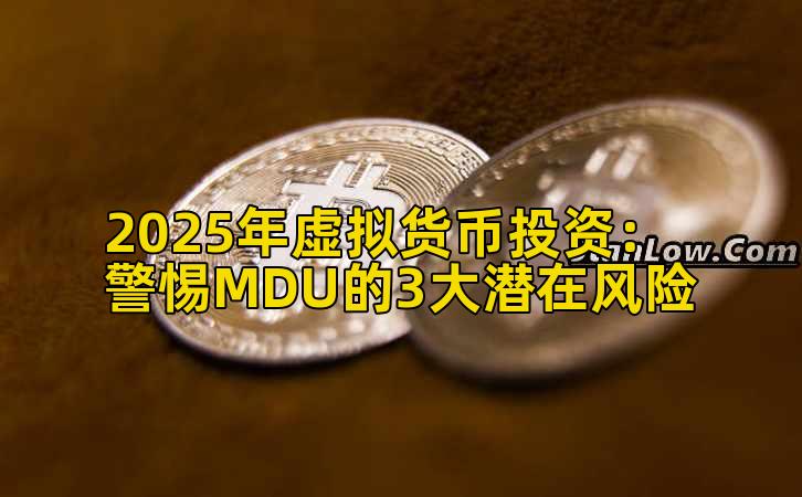 2025年虚拟货币投资:警惕MDU的3大潜在风险