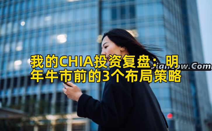 我的CHIA投资复盘：明年牛市前的3个布局策略