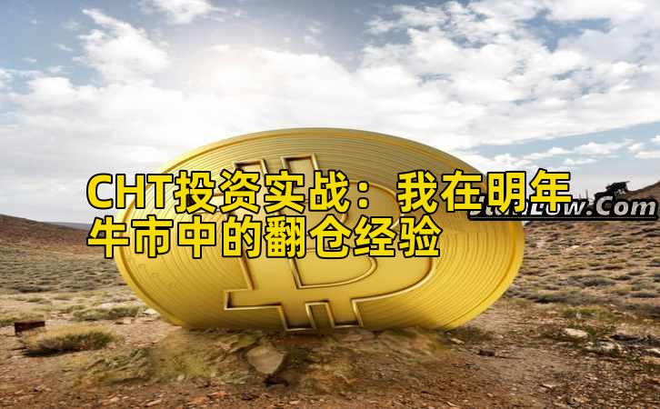 CHT投资实战:我在明年牛市中的翻仓经验