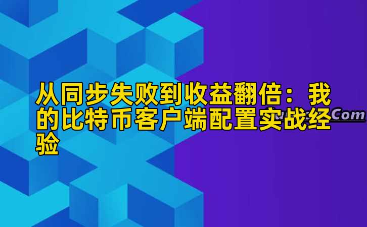 从同步失败到收益翻倍：我的比特币客户端配置实战经验