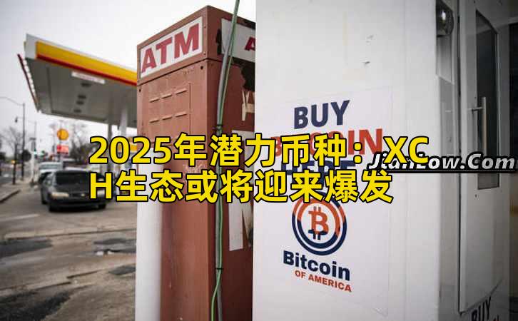 2025年潜力币种：XCH生态或将迎来爆发