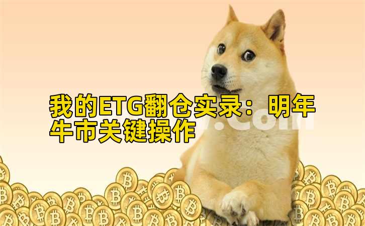 我的ETG加仓实录:明年牛市关键操作