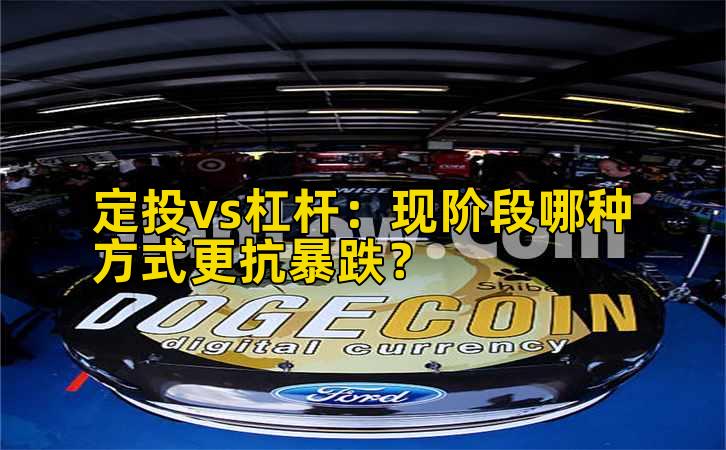 定投vs杠杆:现阶段哪种方式更抗暴跌?