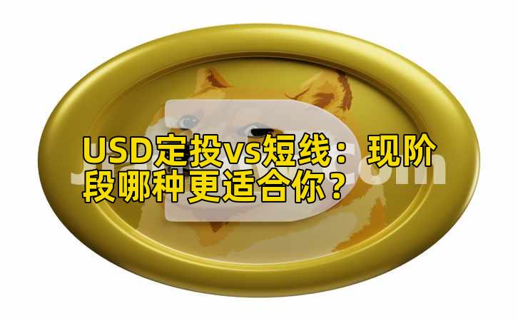 USD定投vs短线：现阶段哪种更适合你？