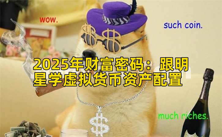 2025年财富密码：跟明星学虚拟货币资产配置