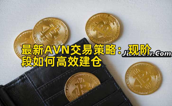 最新AVN交易策略:现阶段如何高效建仓