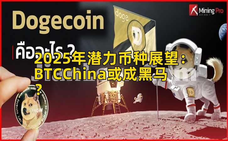 2025年潜力币种展望：BTCChina或成黑马？