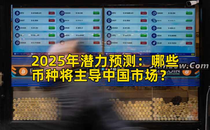 2025年潜力预测：哪些币种将主导中国市场？